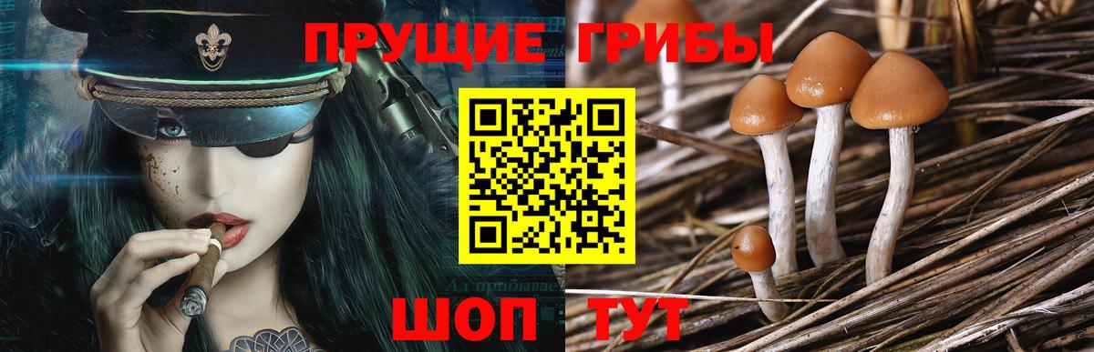 Галлюциногенные грибы MAGIC MUSHROOMS  Вход с VPN  Шатура 