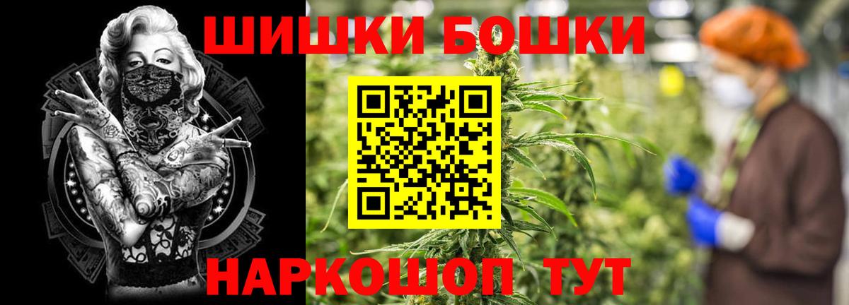 Конопля гибрид Шатура